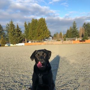 Meet your Posher, Jenna